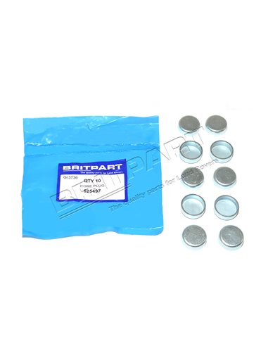 Pastille de Dessablage Diamètre 23.9 mm