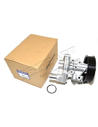 Pompe à Eau BRITPART