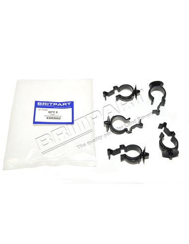 Clips de Durite Inférieur 