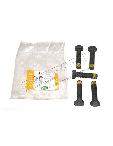 Vis du Volant Moteur 