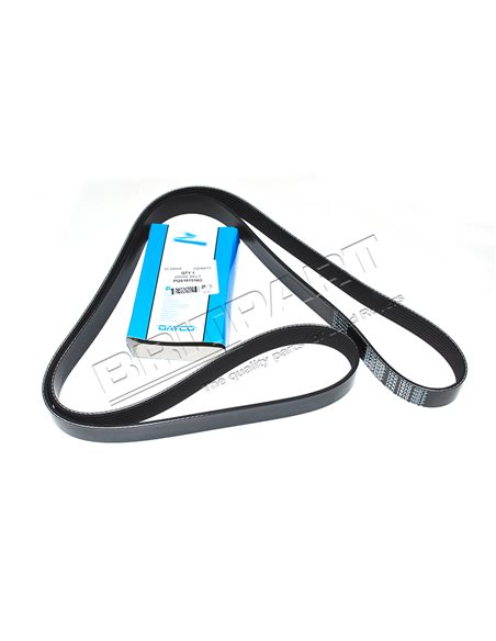Courroie DAYCO d'Accessoire avec Clim. et ACE