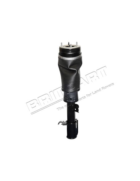 Amortisseur Pneumatique Avant Gauche DUNLOP Monté jusqu'en 2006
