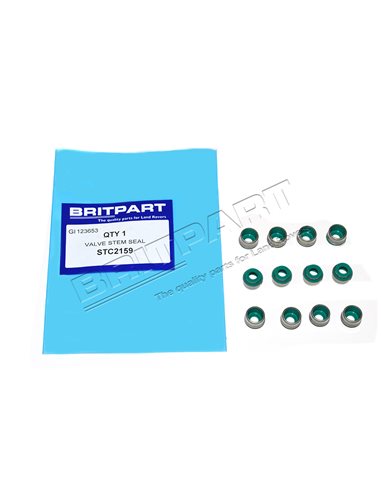 Kit Joints de Queue de Soupape