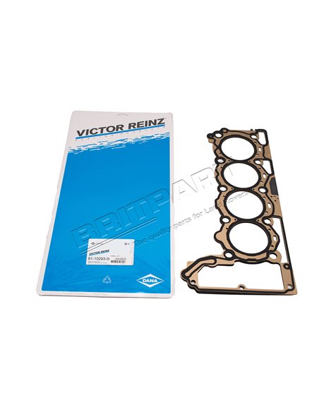 Joint de Culasse Gauche VICTOR REINZ