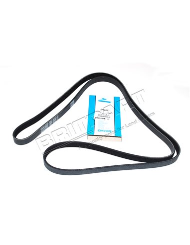 Courroie DAYCO d'Accessoires