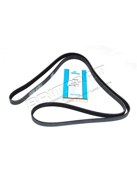 Courroie DAYCO d'Accessoires
