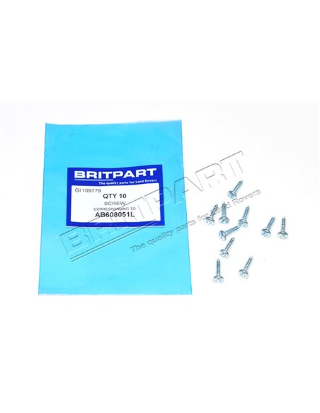Vis Auto-Taraudeuse 6 x 5/8 pour la Fixation des Tuyaux de Lave Glaces