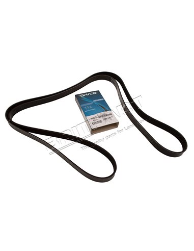Courroie DAYCO Primaire d'Accessoires