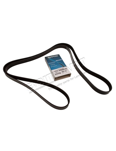 Courroie DAYCO Primaire d'Accessoires