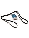 Courroie DAYCO Primaire d'Accessoires