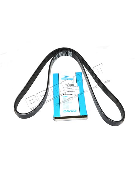 Courroie d'Accessoires DAYCO