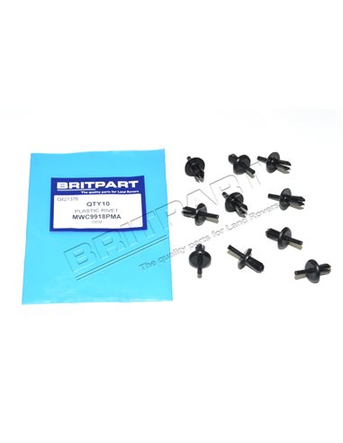 Rivet Plastique couleur NOIR des Garnitures de Porte 