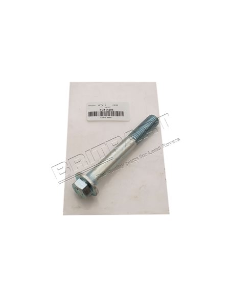 Vis M14 x 100mm