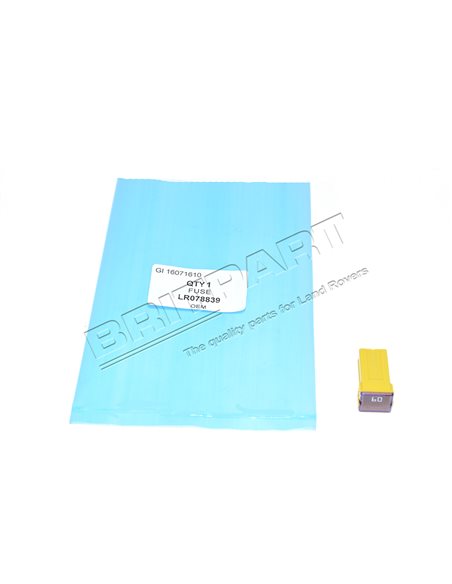 Fusible 60A Rectangle dans le Compartiment Moteur