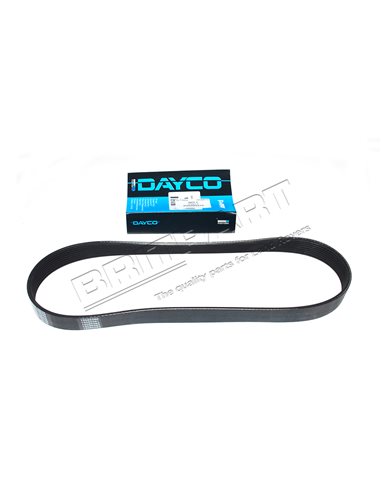 Courroie Secondaire DAYCO