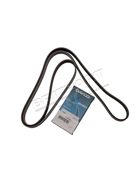 Courroie DAYCO d'Accessoires