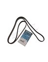 Courroie DAYCO d'Accessoires