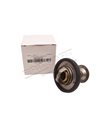 Thermostat 77/78°