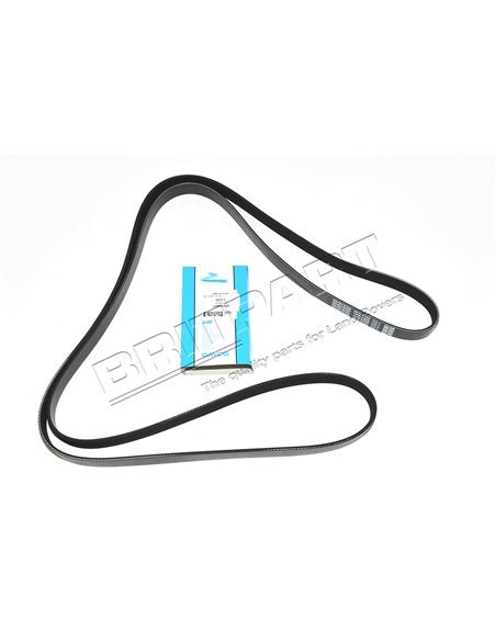 Courroie Primaire DAYCO d'Accessoires
