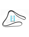 Courroie Primaire DAYCO d'Accessoires