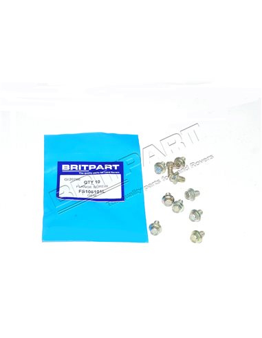 Vis à Bride M6 x 10mm