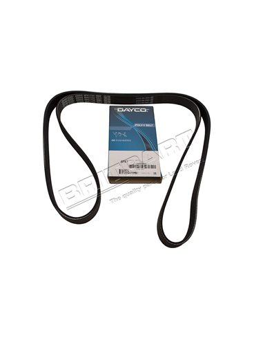 Courroie DAYCO d'Accessoires