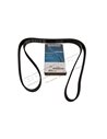 Courroie DAYCO d'Accessoires