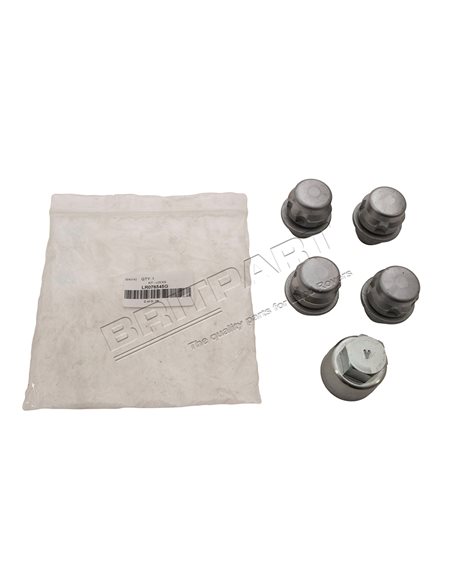 Kit Écrou Antivol OEM