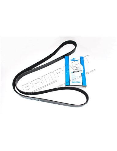 Courroie Secondaire DAYCO d'Accessoires