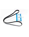 Courroie Secondaire DAYCO d'Accessoires