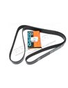 Courroie Primaire DAYCO d'Accessoires