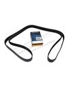 Courroie DAYCO d'Accessoires 