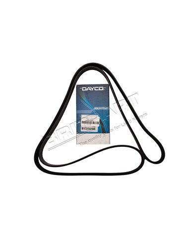 Courroie DAYCO d'Accessoire sans Clim. et avec ACE 