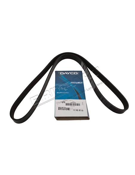 Courroie DAYCO d'Accessoires