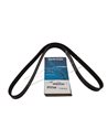 Courroie DAYCO d'Accessoires