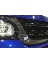 * SUR COMMANDE AU 01.34.67.76.85 * Grille de Calandre Finition CARBONE