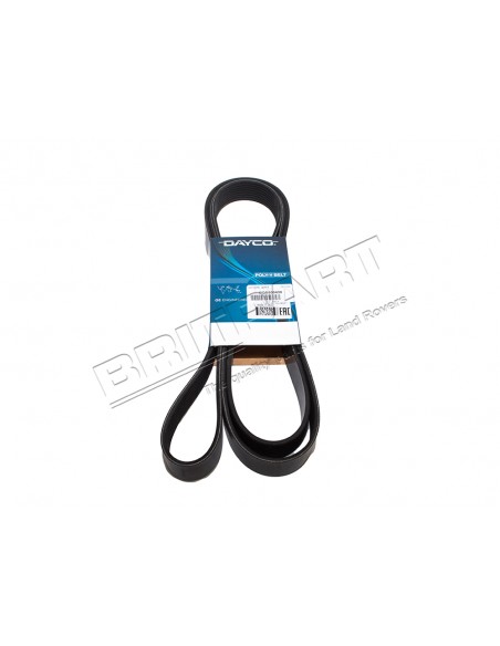 Courroie DAYCO d'Accessoire