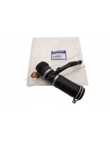 Durite du Thermostat au Moteur