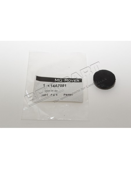 Bouchon Plastique Ø 25mm du Tablier