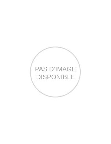 Bague des Pattes de Fixation des Sièges Arrière
