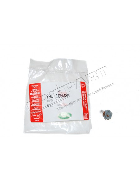 Ampoule du Tableau de Bord
