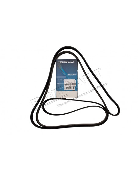 Couroie DAYCO Primaire d'Accessoires avec ACE