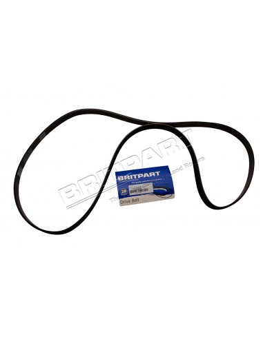 Courroie d'Accessoire ADAPTABLE