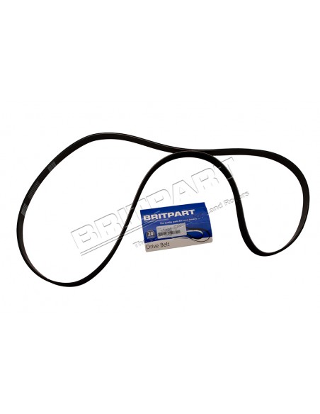 Courroie d'Accessoire ADAPTABLE