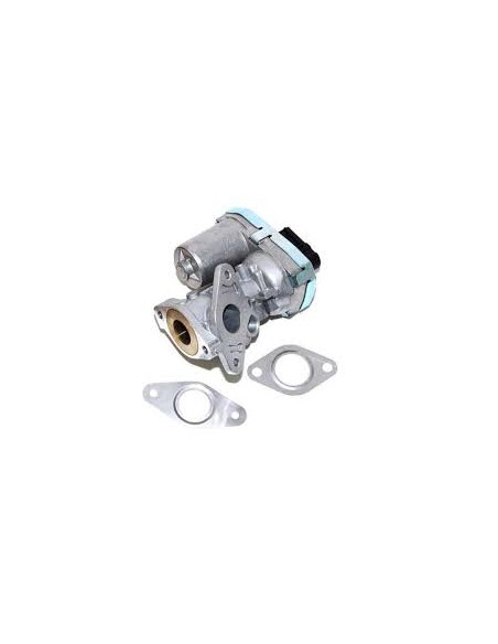 Vanne EGR ADAPTABLE