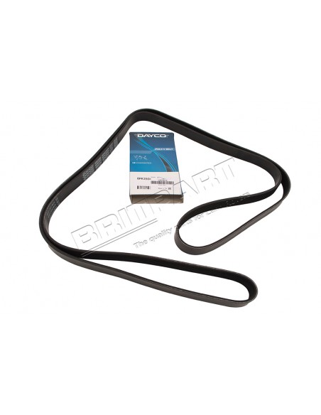 Courroie d'Accessoires DAYCO Montage avec Suspension ACE