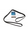 Courroie d'Accessoires DAYCO Montage avec Suspension ACE