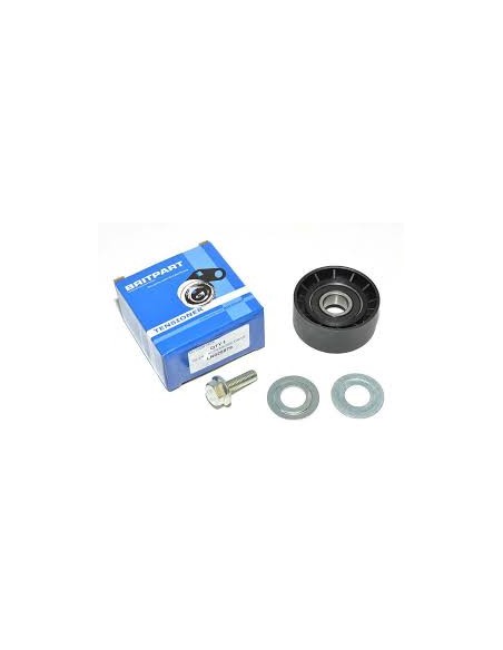 Galet Renvoi Inférieur ADAPTABLE (Moteur FORD)