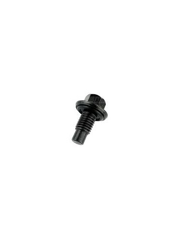 Bouchon et Joint de Vidange Moteur
