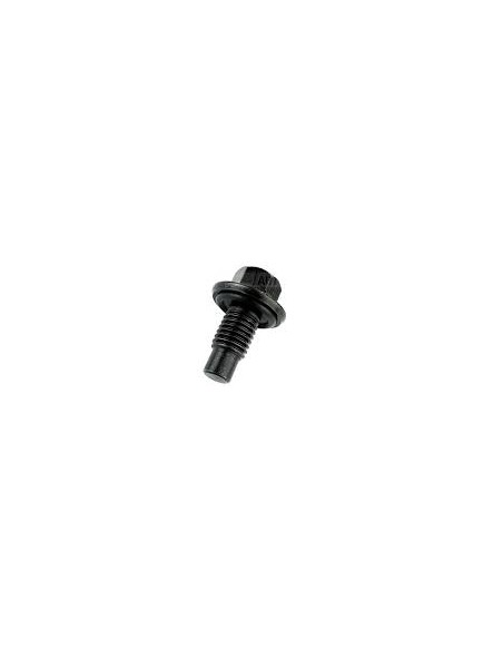 Bouchon et Joint de Vidange Moteur
